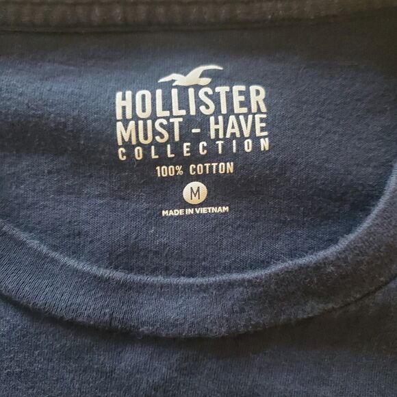 Hollister Other - NEW Hollister T Shirt Mens Medium Blue Must Have Collection Casual Outdoor